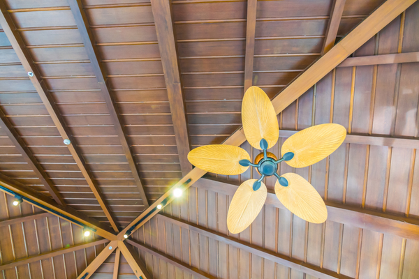 Fall Ceilings